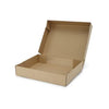 255x200x46 mm Maxibrief box